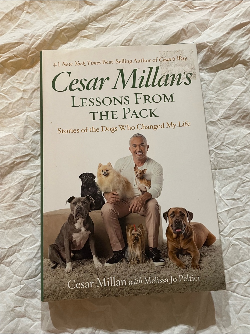 Lessons From The Pack Hardcover by Cesar Millan
